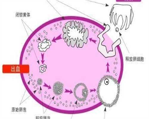 代生小孩费用-不同地区试管婴儿费用介绍明细
