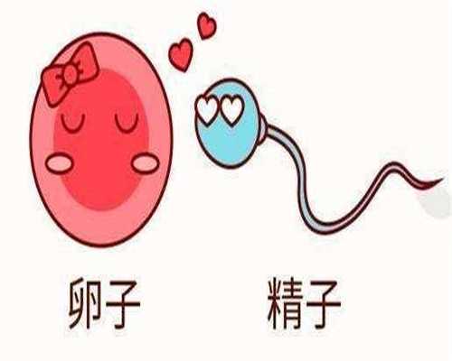 助孕网成功率:移植囊胚有哪些禁忌