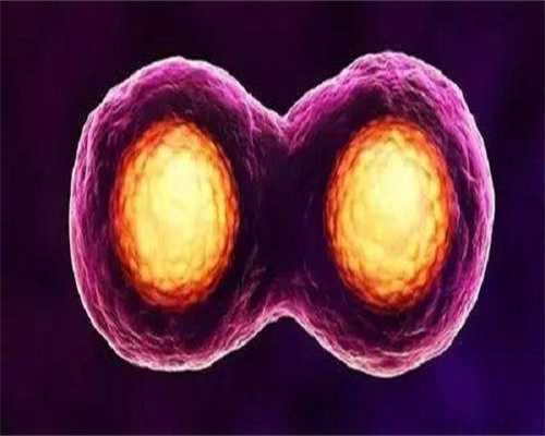 借卵怀孕-子宫肌瘤剔除手术后不能立刻怀孕