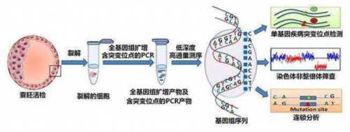 b超9个卵泡取了22个卵泡，b超和实际促排卵数量偏差大的原因？