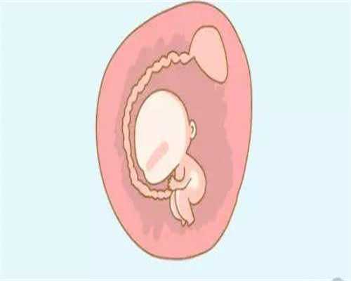 备孕男孩前检查身体