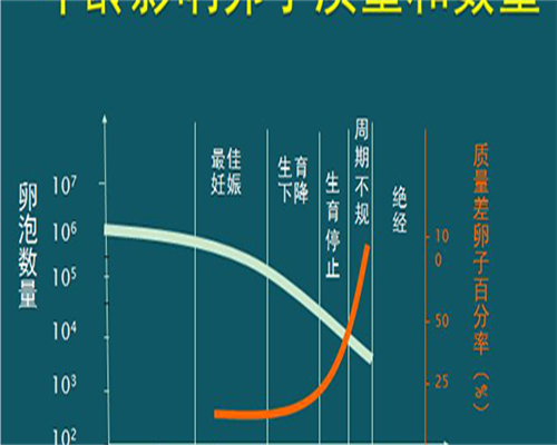 罕见病三代试管能报销吗?