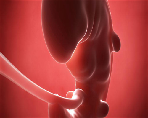 移植前内膜薄吃什么