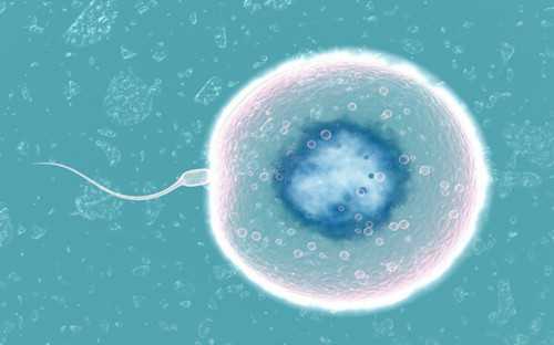 找人代生孩子-生殖器疱疹试管婴儿能做吗，选择第几代试管好