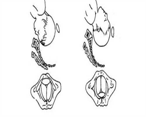男人长期熬夜会影响性功能吗男人一定不能熬夜！