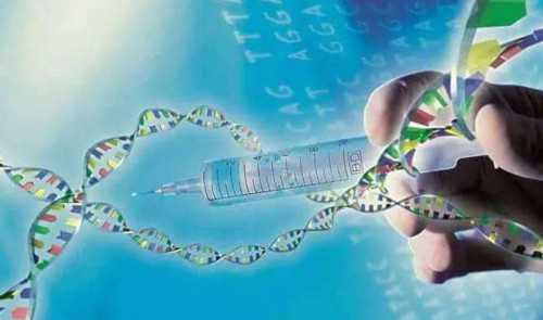 代生服务平台:试管排卵针打多少天多少钱一针