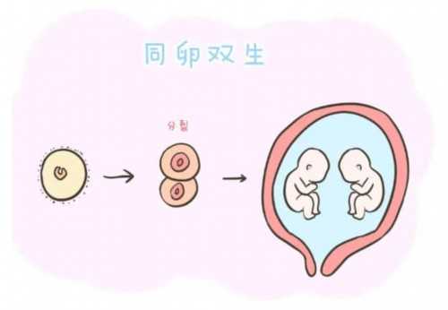 卵泡长到30mm能不能受孕？
