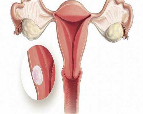 姐妹们移植鲜胚都几天测到了(鲜胚10天测不出来是不是就没着床)
