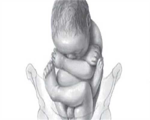 借卵保证成功-移植后黄体酮软胶囊什么时候塞最好，最佳使用时间