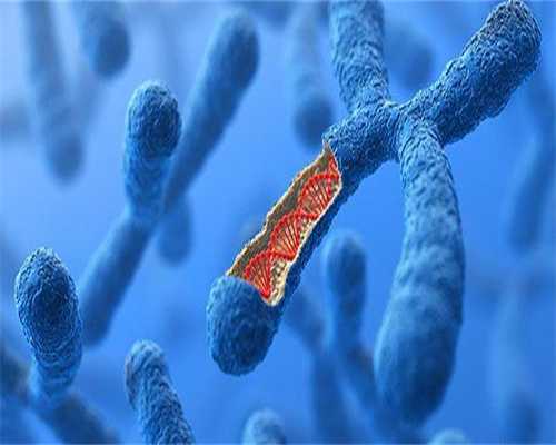 代生儿子电话-促卵泡激素高没有优势卵泡怎么办？