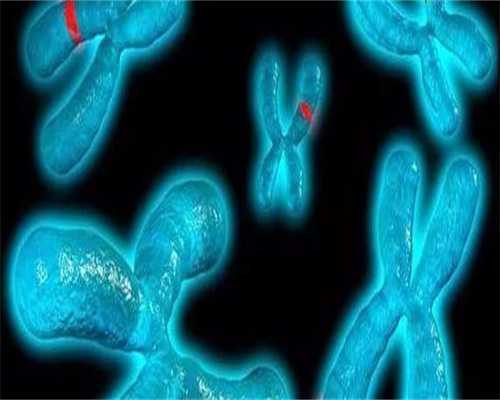 子宫内膜切除可以做试管-切除子宫内膜能绝经吗