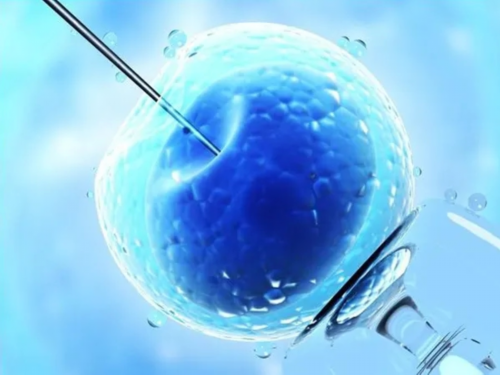 代生代怀费用-内异症移植前必须要降调冻胚移植内膜12是不是太厚了？