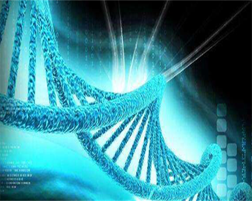 代生孩子服务-醋酸甲羟孕酮片的作用取卵后吃醋酸甲羟孕酮片