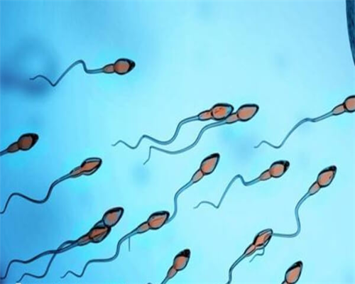 胚胎移植后着床的表现