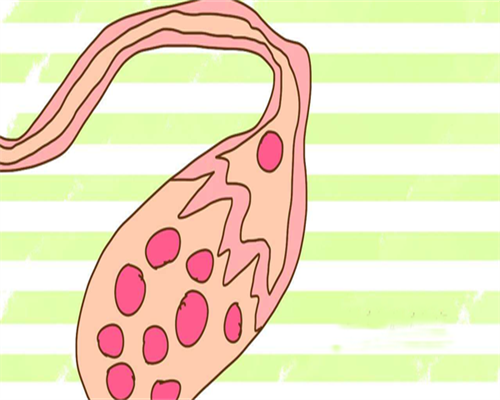 代孕宝宝地址:内膜厚度10mm来月经吗