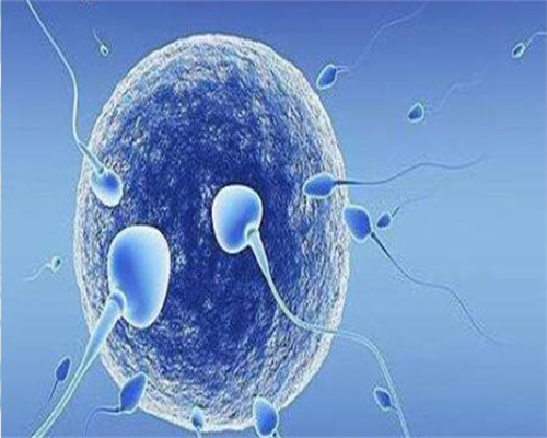 最佳代怀网-取卵前注意事项有哪些