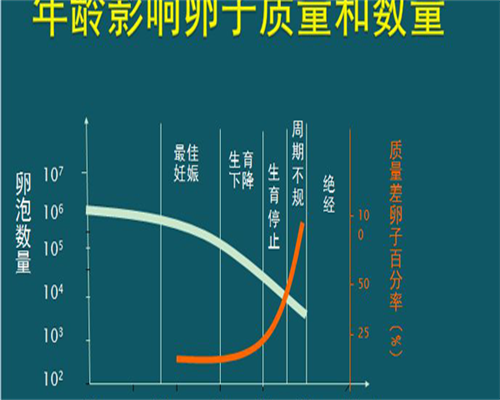 孕晚期B超胎儿发育的正常值,孕晚期B超有必要做吗