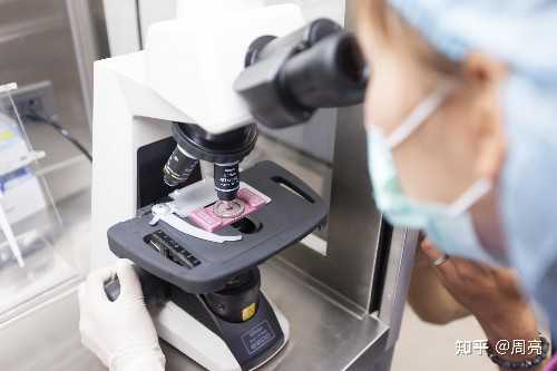 代生公司正规:3bb囊胚3bb囊胚质量怎么样