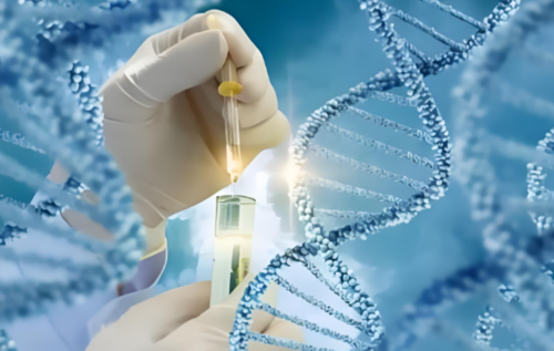 代生孩子流程:术前调理，出现没有-萎缩优势卵泡,术前调理需注意