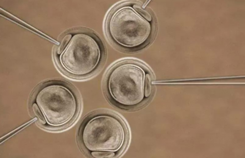 正常卵泡大小是多少mm 如何计算卵泡的直径