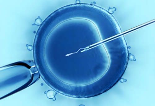 试管代生女孩-卵泡发育不良的治疗费用