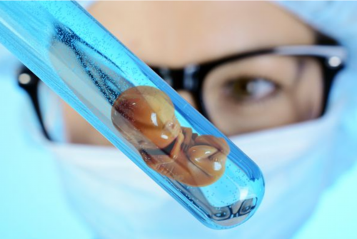 激素节育器_黄体酮辅助生殖