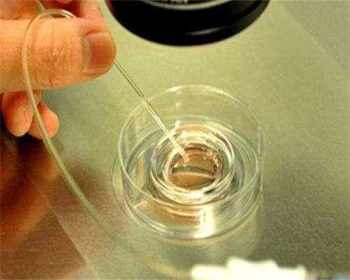 泰国试管婴儿移植后的饮食调理