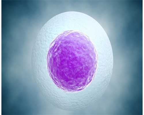 代孕包生孩子-试管婴儿精子要求几天