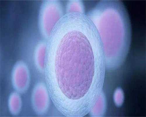 帮人代生费用-做试管婴儿前一定要做宫腔镜吗?