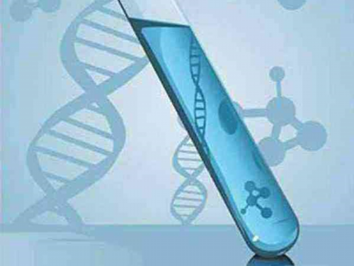 代生儿子电话:43岁试管的成功率?如何提高卵子质量