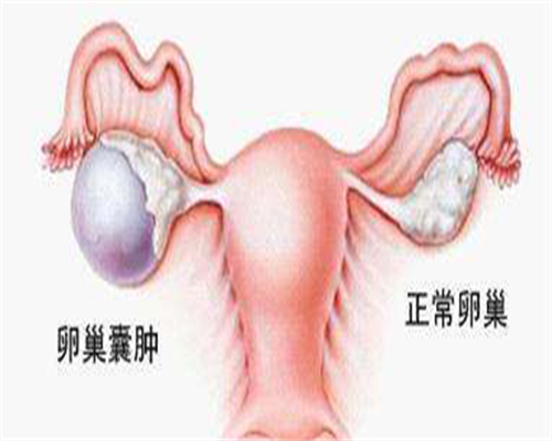 〖哈尔滨三代试管婴儿一般要多少钱？附2026试管成功率及费用..〗