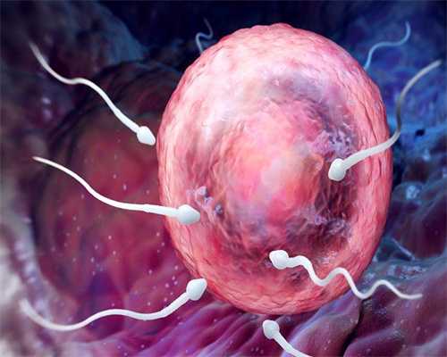 做试管婴儿一般几次可以成功