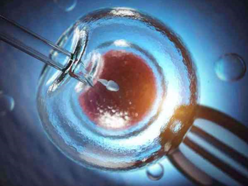 移植鲜胚3天有这三大征兆就说明着床了，腰酸的感觉很明显