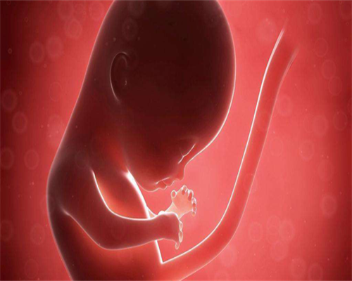 三代试管婴儿移植成功率怎样？一次移植几个比较好？