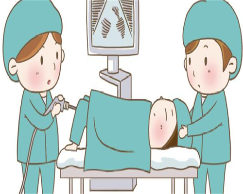 私人试管代怀：菊花茶孕妇_菊花茶_怀孕_影响_注意事项