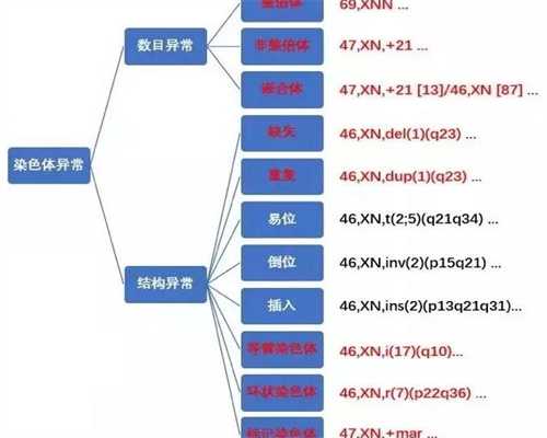 凯特王妃怀第三胎这次还是试管婴儿助力吗？