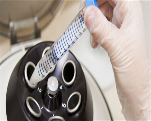 冻存胚胎D3什么意思,冻存胚胎D3好不好