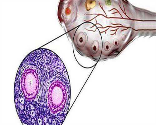 卵巢早衰的试管婴儿能否成功怀孕，卵巢对生殖健康的影响