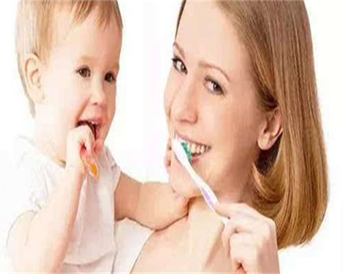 胚胎培养需要什么营养成分