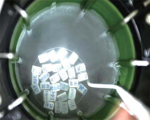 试管hcg最低多少才需要放弃保胎