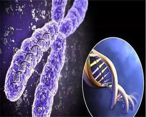 助孕生殖公司:试管婴儿胚胎质量不好怎么办？教你3招快速改善！