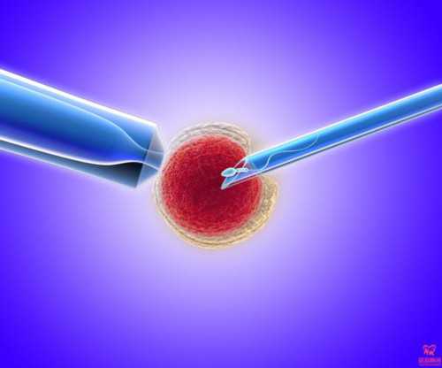 暹罗Siam Fertility Clinic泰国试管婴儿生殖中心