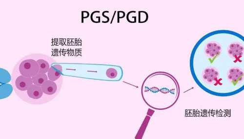 鹿胎膏备孕可以吃吗
