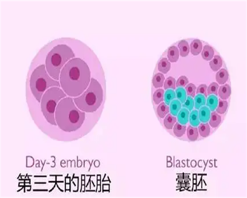 私人试管代怀-怀孕孕酮和HCG的对照标准是什么