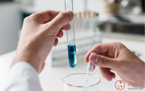 备孕期间需要吃叶酸吗（孕妇补叶酸的量）