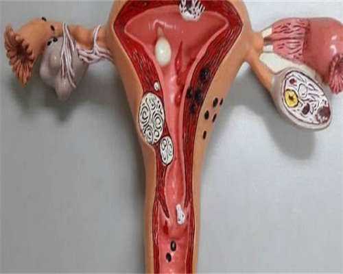 试管代生女孩：备孕提前多久检查身体