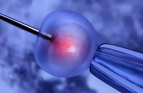 内膜太薄做理疗可以?移植前内膜薄?