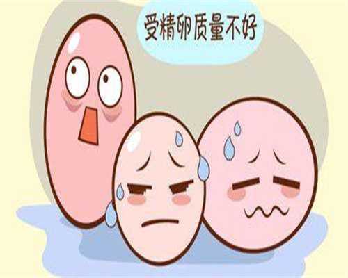 供卵产子公司-长沙三代试管包生男孩费用如何？附详细费用行情