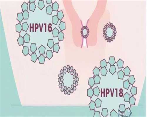 代孕产子服务-试管成功后褐色分泌物不要怕7天有褐色分泌物