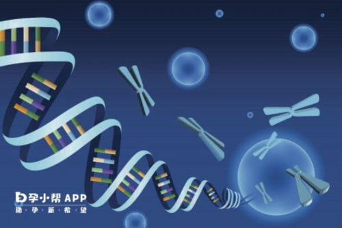 三代试管婴儿的缺点是什么